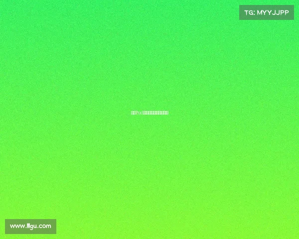 韶关hxl电子竞技韶关电子公司